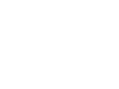 Stallion The Lifestyle Brand